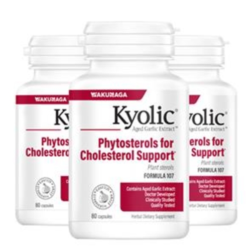 Pack 3 Kyolic 107 - Colesterol - Kyolic - KY107041x3