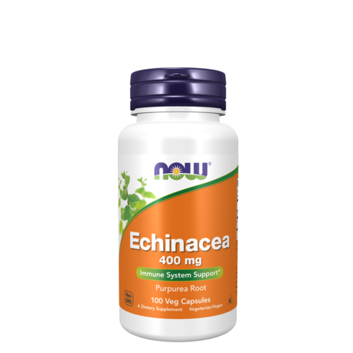 Echinacea 400mg 100 Cápsulas - NOW validade curta 09/2024 - Now Foods - 733739046604